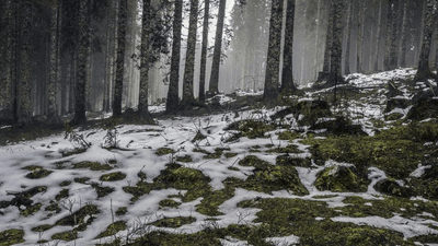 Budget - professional stock photography