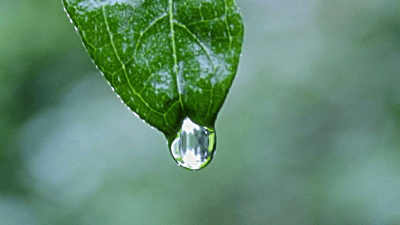 Budget - professional stock photography