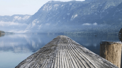 Budget - professional stock photography