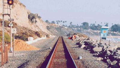 Chart - professional stock photography