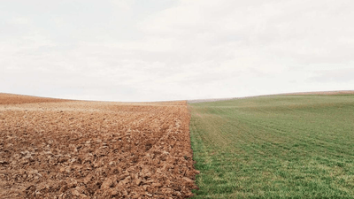 Contract - professional stock photography