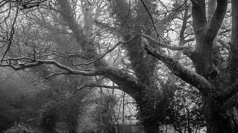 Credit Card - professional stock photography