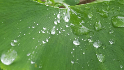 Gold - professional stock photography