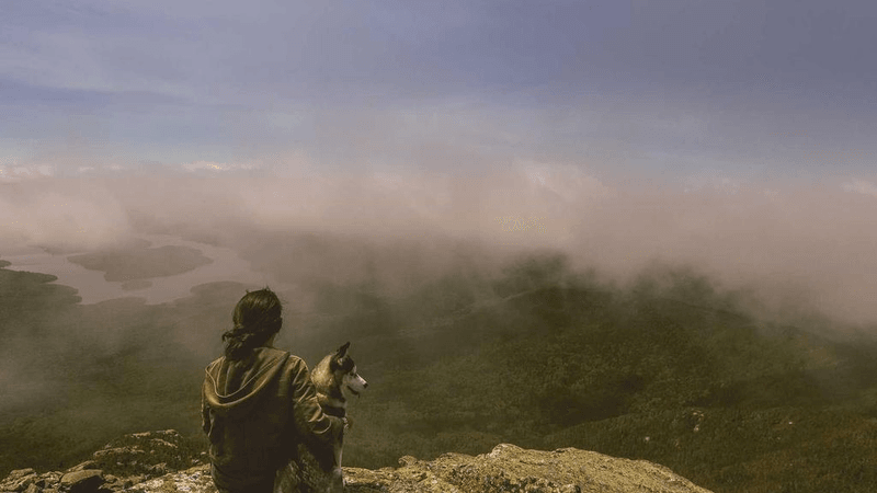 Gold - professional stock photography