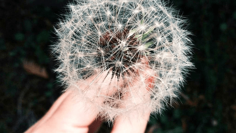 Gold - professional stock photography