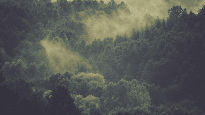 Gold - professional stock photography