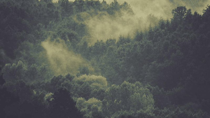 Gold - professional stock photography