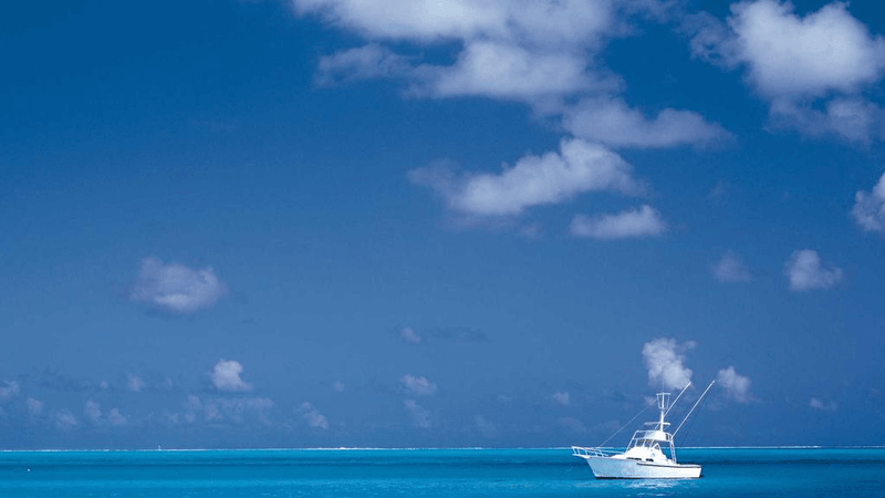 Graph - professional stock photography