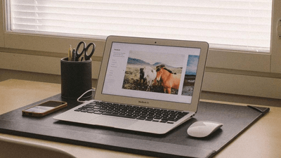 Graph - professional stock photography