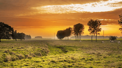 Meeting - professional stock photography