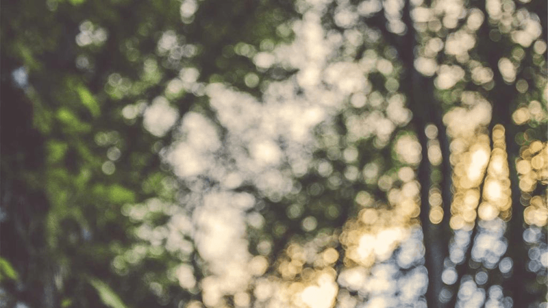 Meeting - professional stock photography