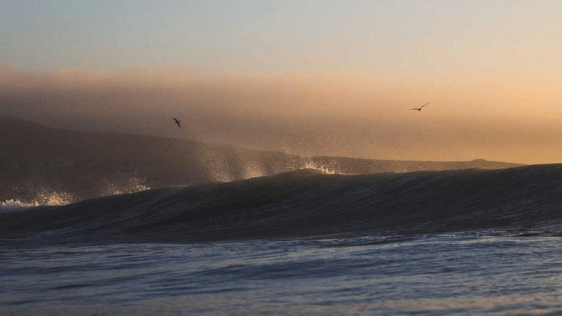 Piggy Bank - professional stock photography