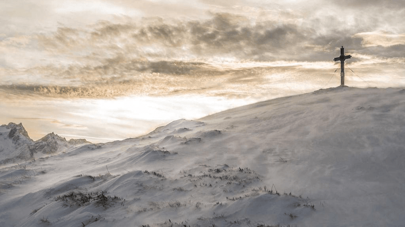 Piggy Bank - professional stock photography