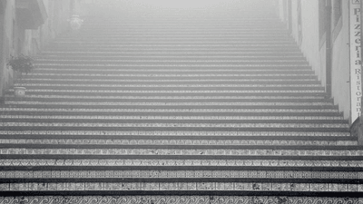 Piggy Bank - professional stock photography