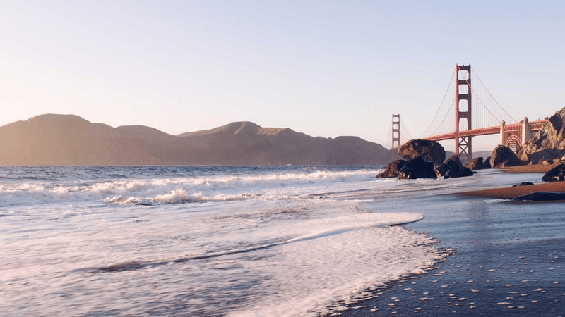 Piggy Bank - professional stock photography