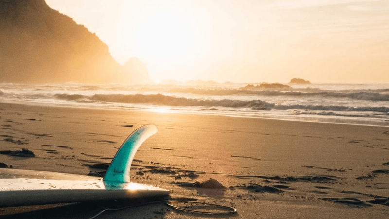 Piggy Bank - professional stock photography