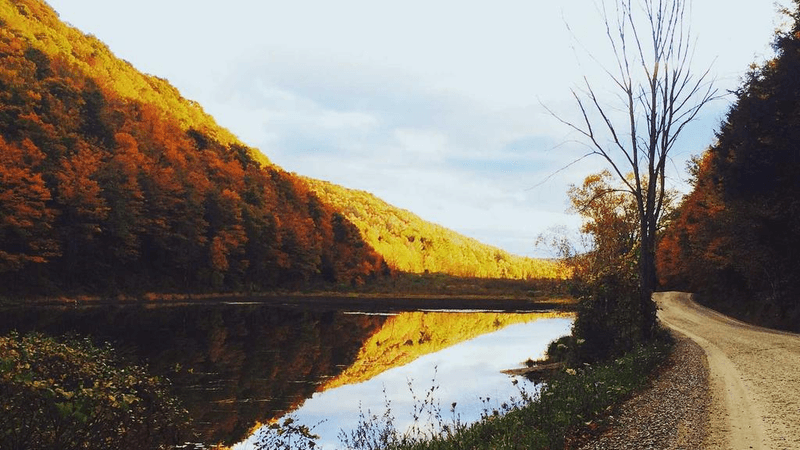 Stocks - professional stock photography