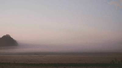 Trading - professional stock photography