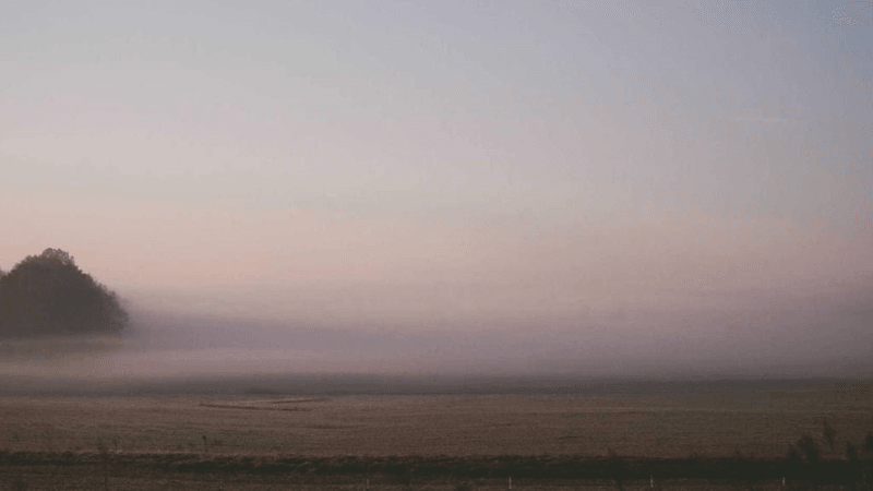 Trading - professional stock photography