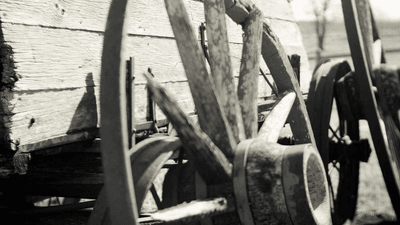 Wallet - professional stock photography