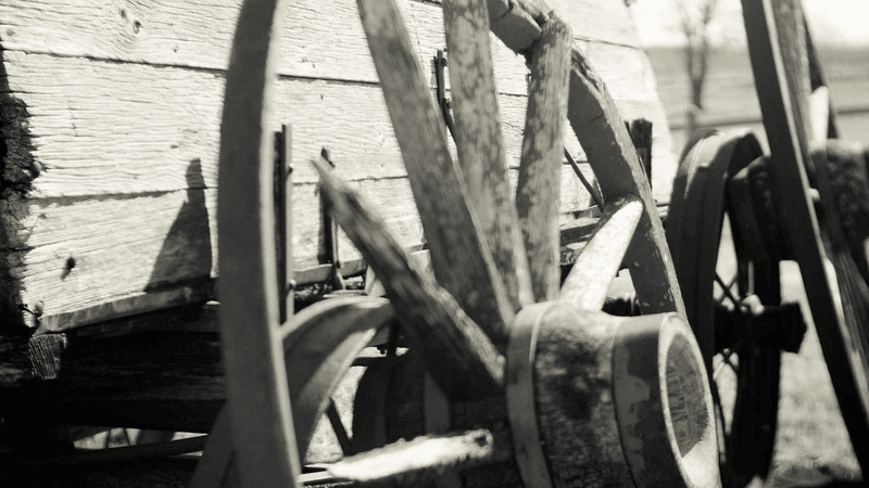 Wallet - professional stock photography