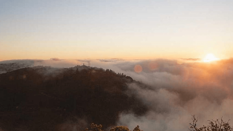 Wallet - professional stock photography